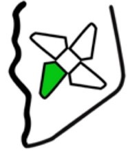 wijkplatform Molenwijk Logo wijkplatform Molenwijk